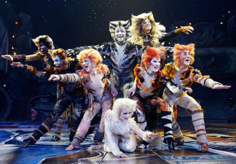 Cats by theatre limousine trip